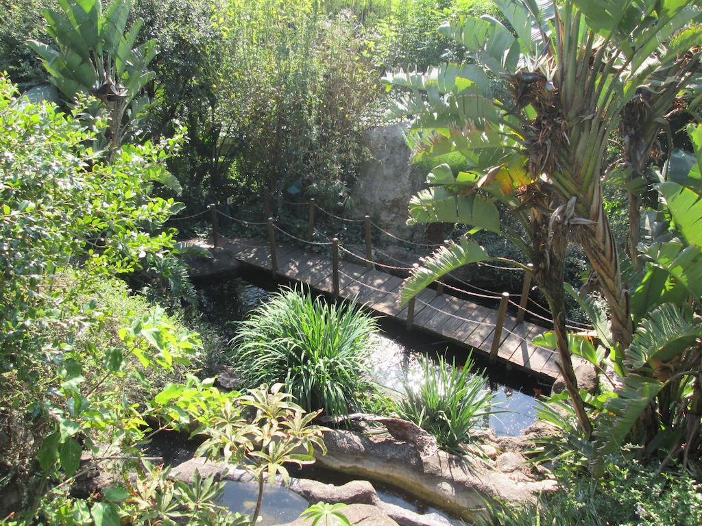 Joern'S Gaestehaus Mbombela Rom bilde